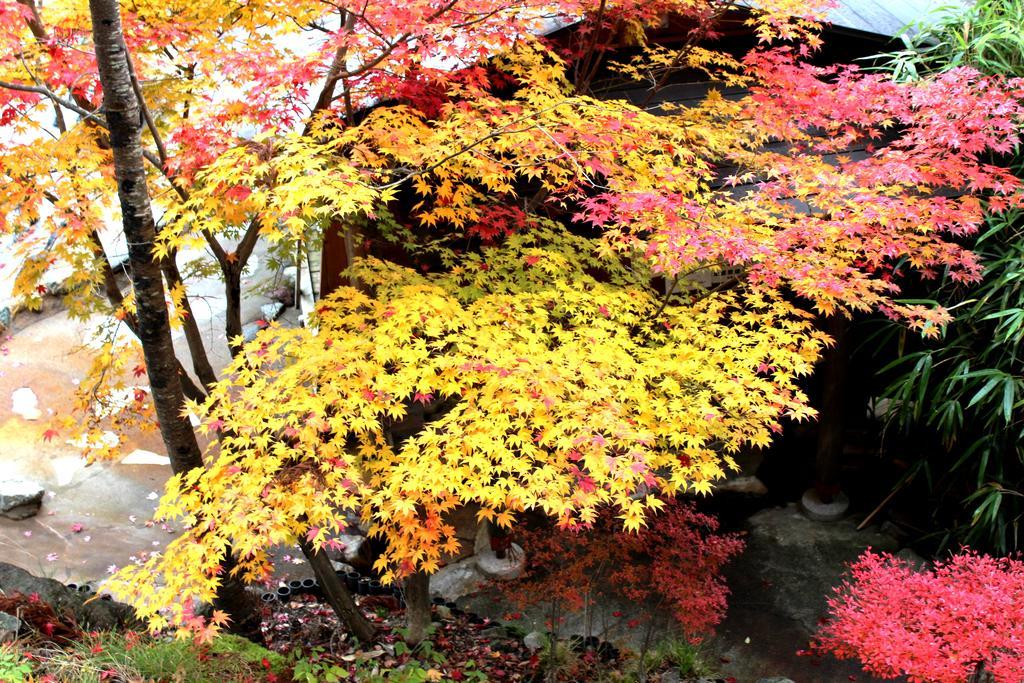 Suimeikan Karukaya Sanso Takayama (Gifu) Exterior foto